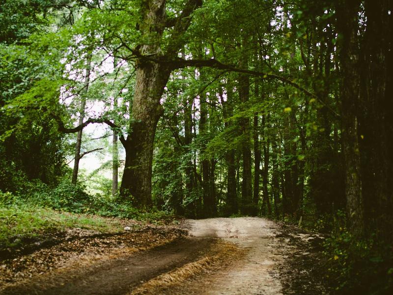 sudoku puzzle book screenshot 1