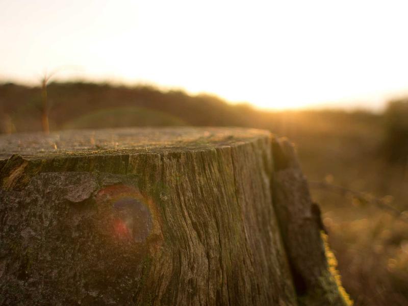 android screenshot 1